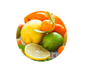 https://southernshavedice.com/wp-content/uploads/2022/04/menu-icons-citrus.png